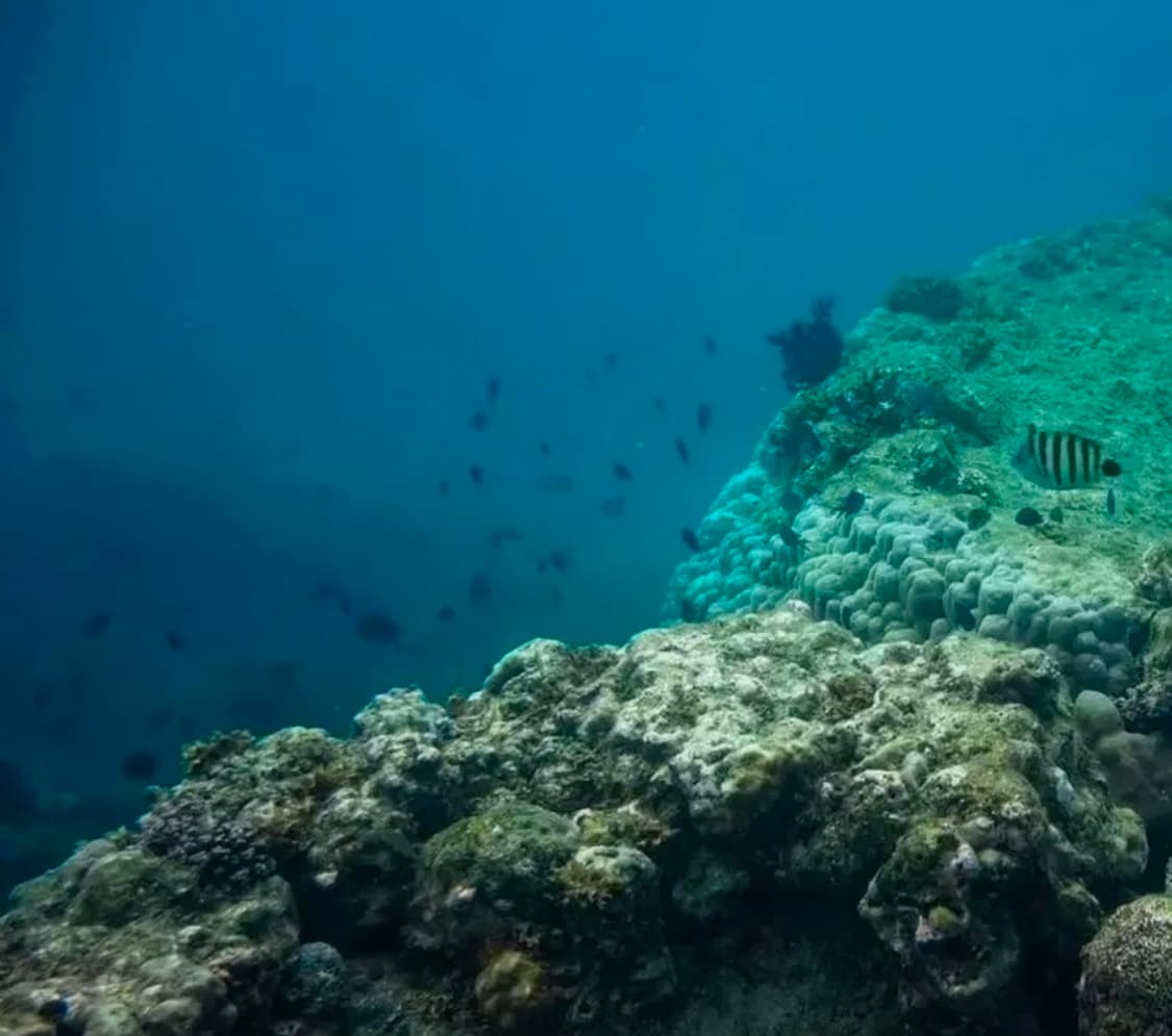 (한글판)니콘 쿨픽스 AW110 상품이미지5