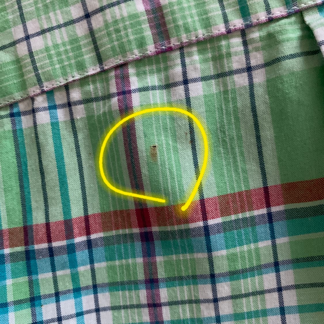 폴로 랄프로렌 커스텀핏 체크 셔츠 [새상품] 상품이미지9