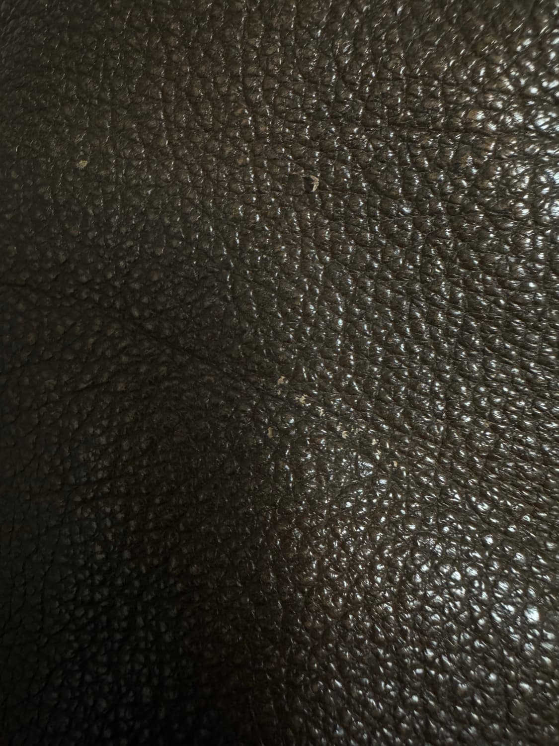 아비렉스 AVIREX A2 핀업 걸 자켓 상품이미지10