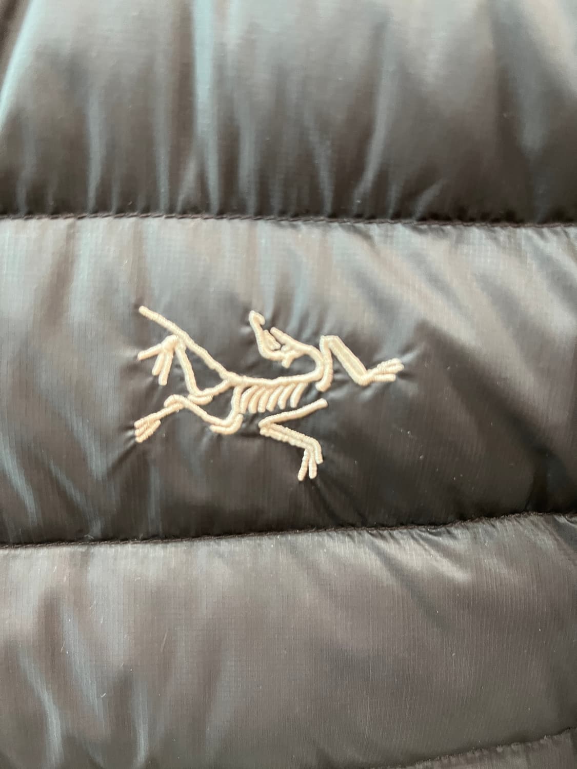 M) 아크테릭스 세륨 브라운  상품이미지4