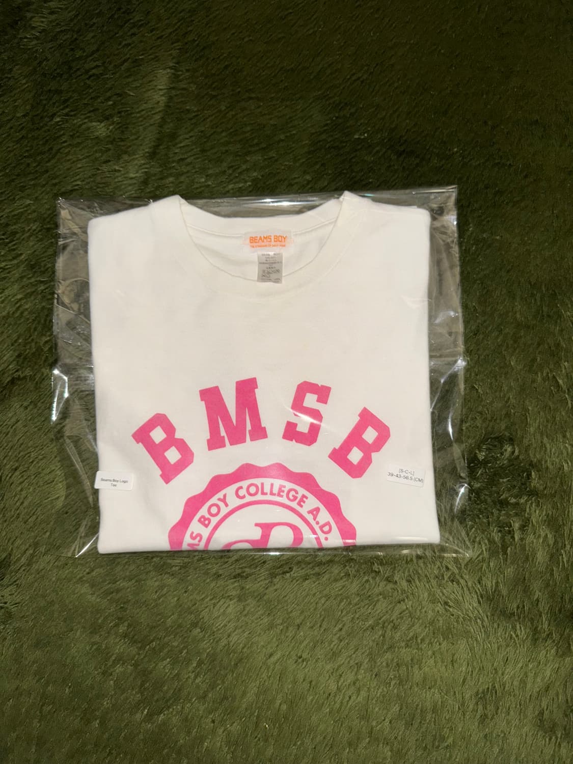 BEAMS BOY 빔즈보이 오리지널 로고 프린트 티셔츠 상품이미지10