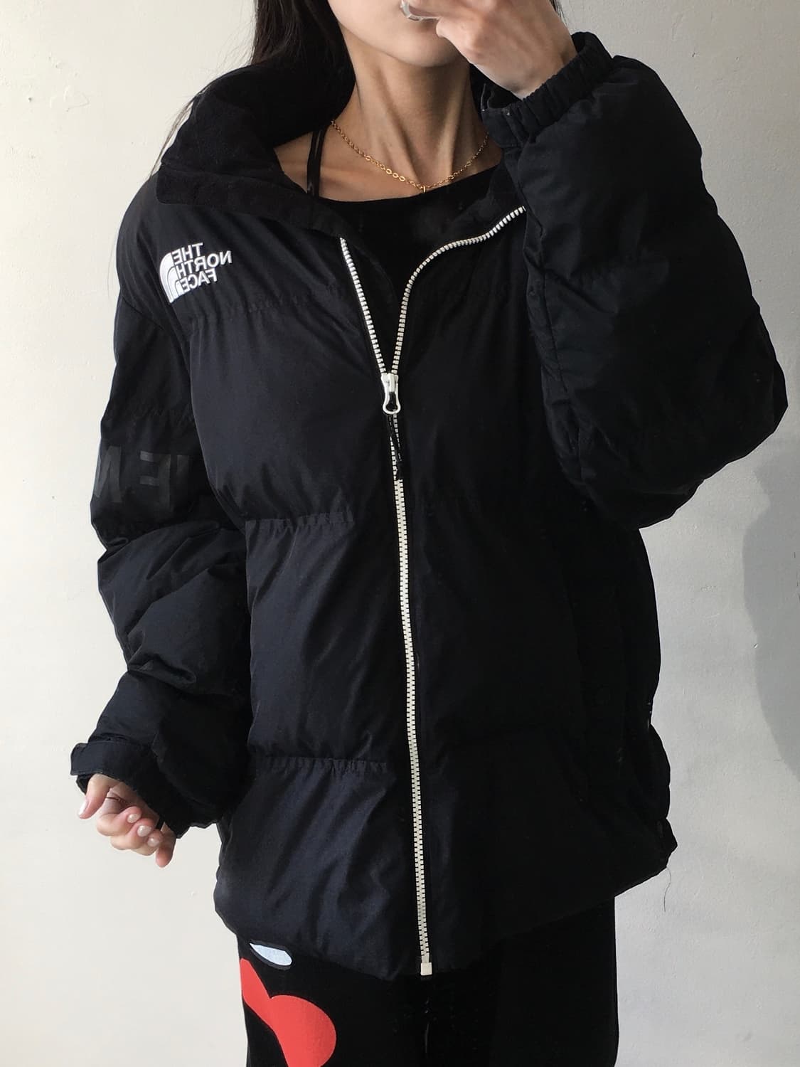 노스페이스 화이트라벨 구스다운 상품이미지1