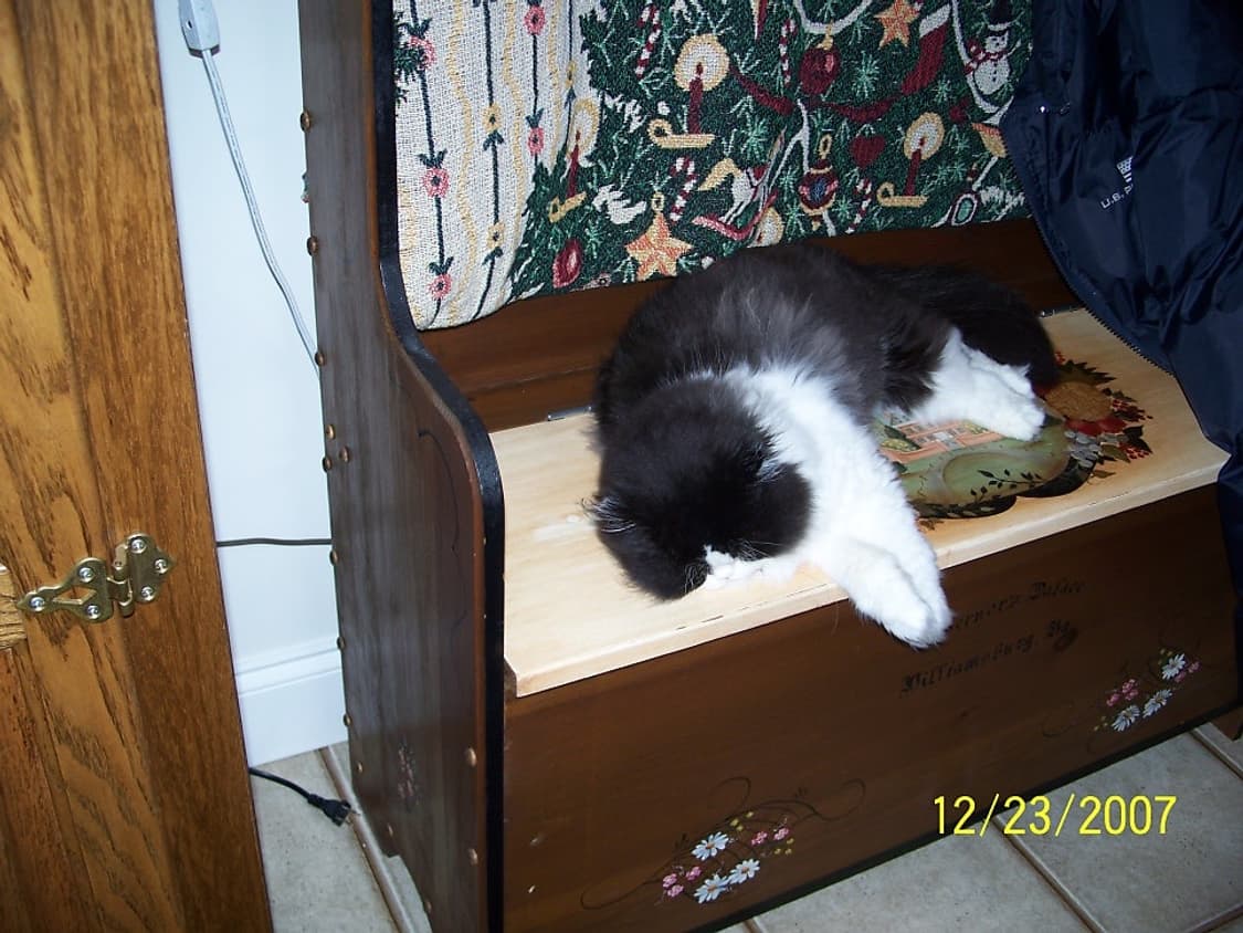 코닥 이지쉐어 C813 실버 Kodak Easyshare C813  상품이미지8