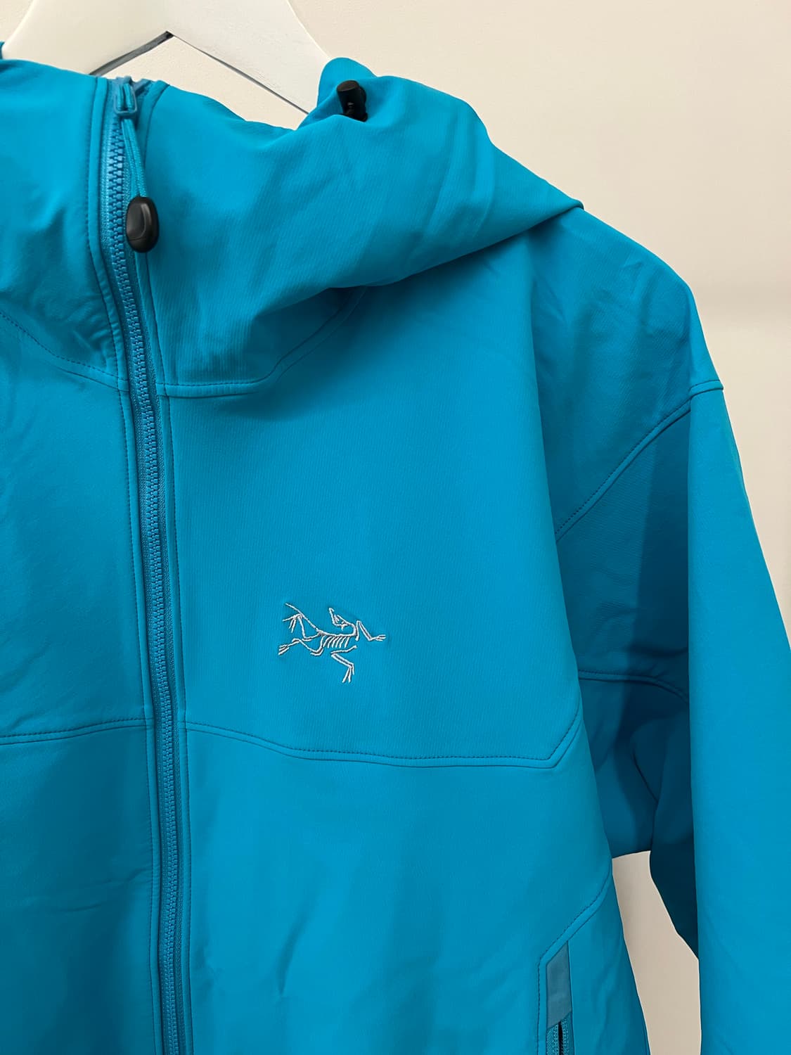 아크테릭스 감마후디 상품이미지3