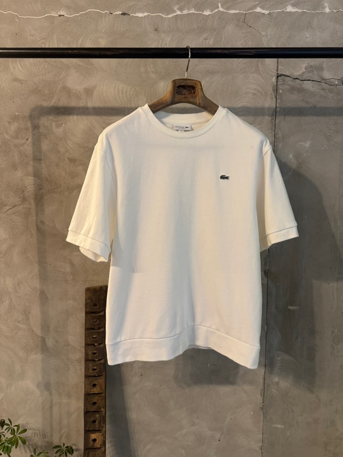 라코스테 티셔츠 100 상품이미지1