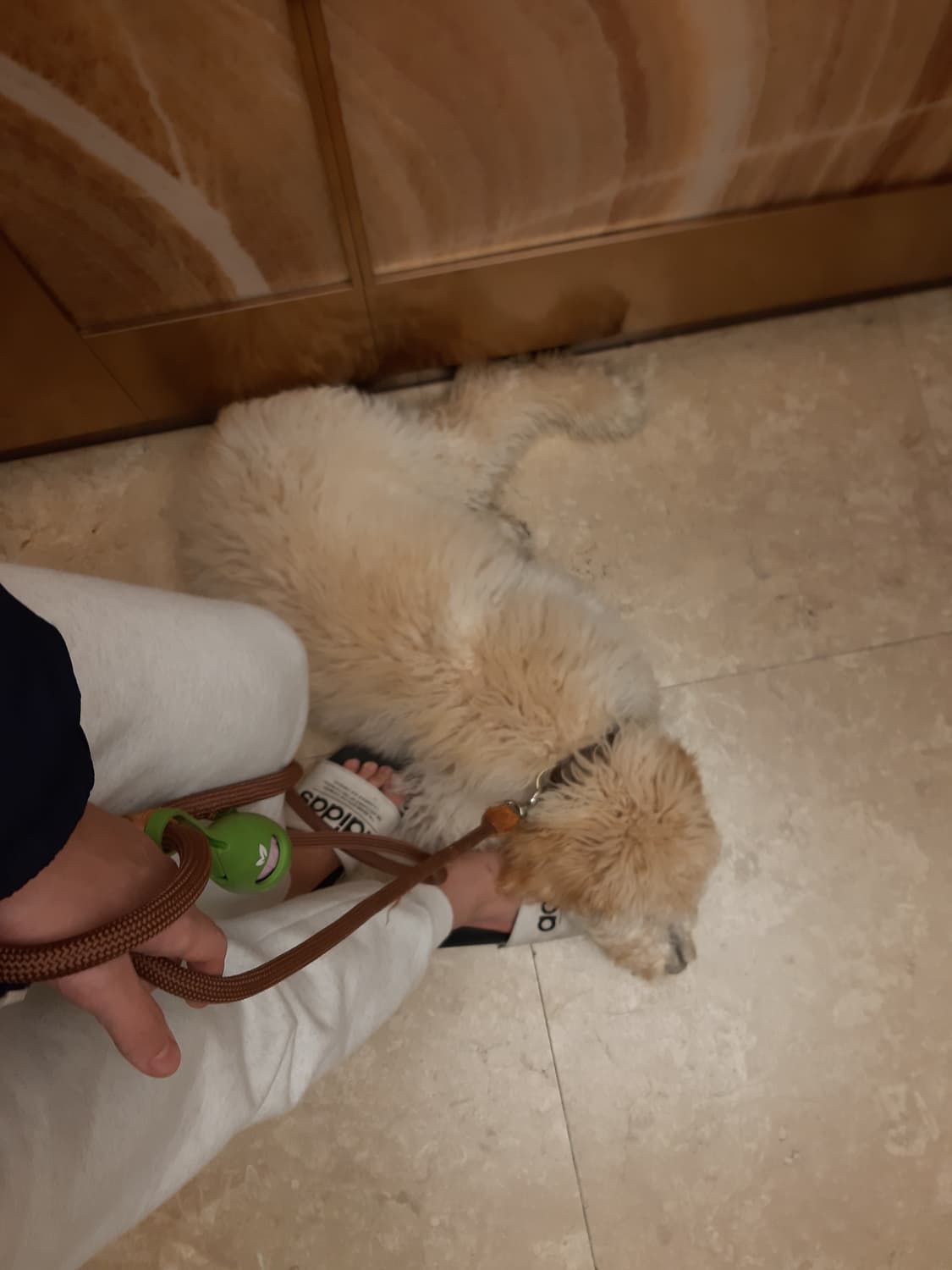 90s 칼하트 Made in USA 숏비니 말차 그린 상품이미지5