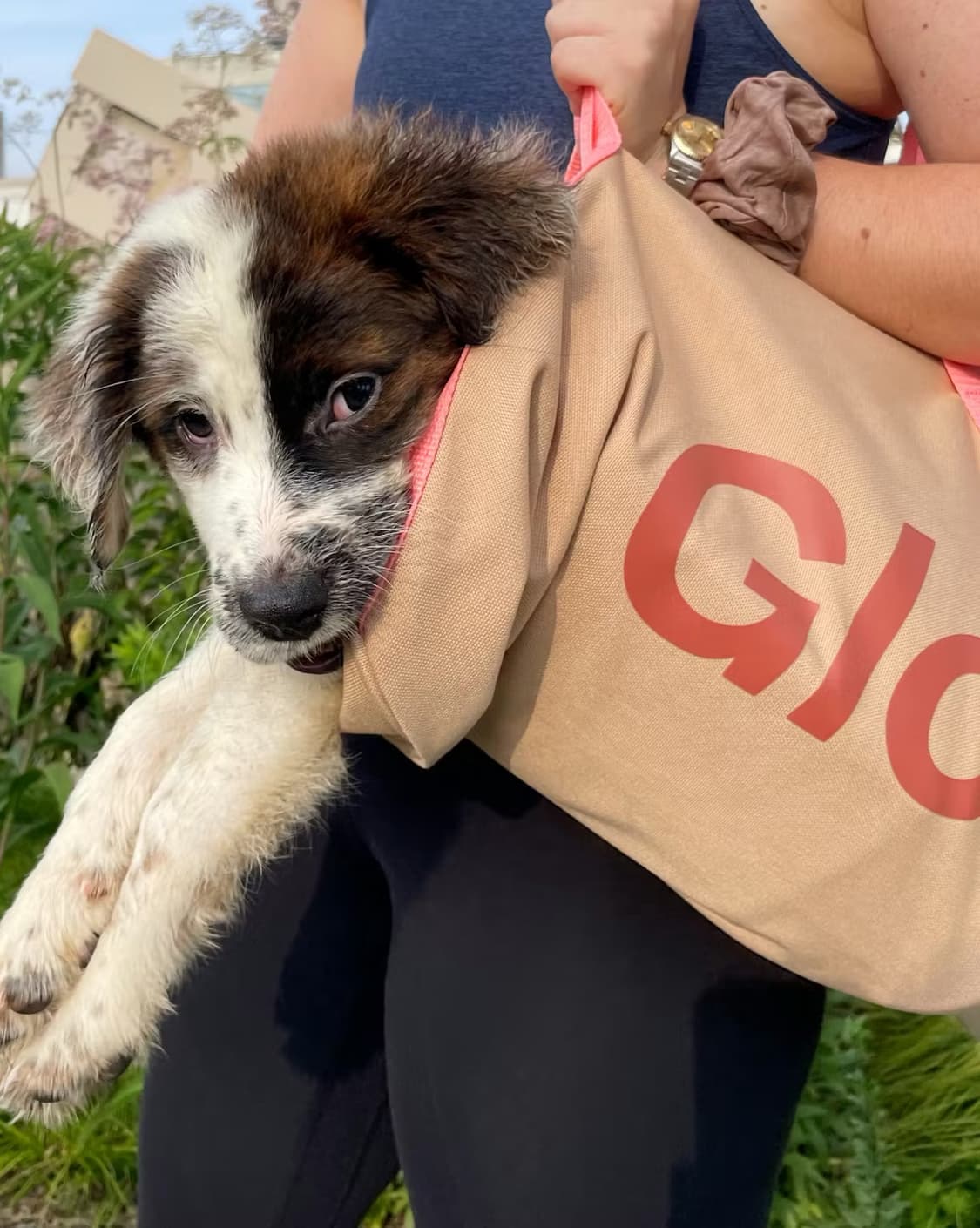 미개봉 정품 glossier 글로시에 더플백 데저트 로즈 컬러 가방 상품이미지1