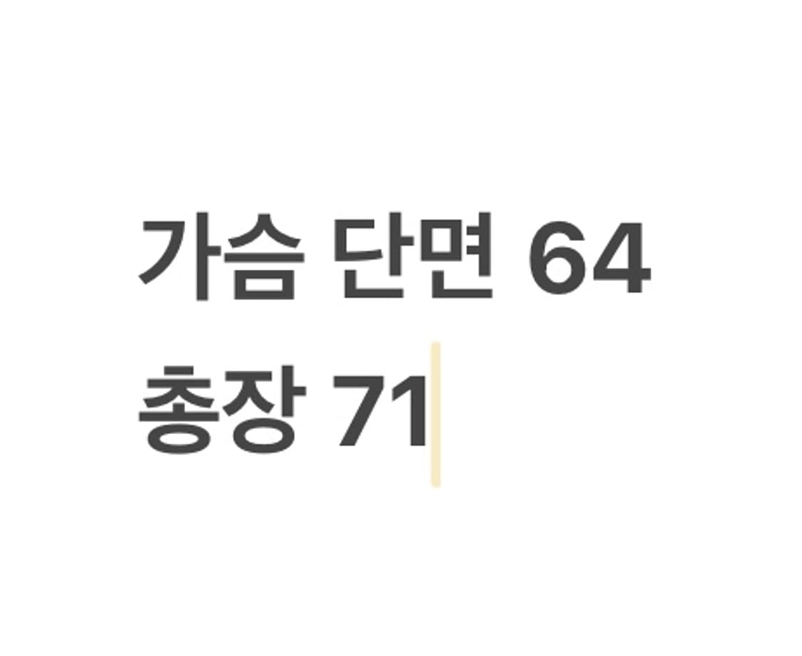 [ 정품/XL,105 ] 노스페이스 화이트라벨 닐턴 히트 자켓 b10 상품이미지10