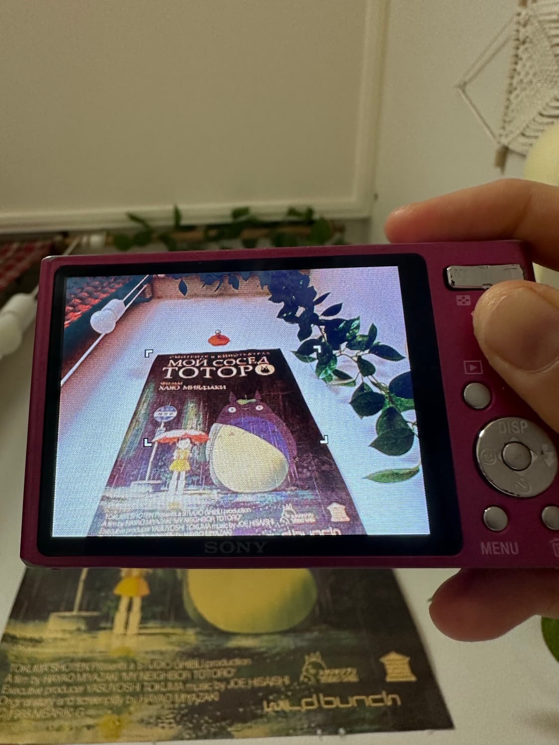 *앤팀 의주디카* 소니 사이버샷 w550디카/디지털카메라 상품이미지3