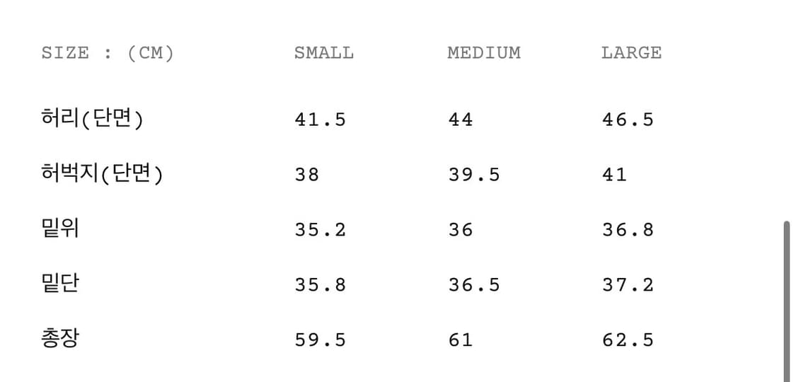 CAMERAMAN SHORTS - CAMO 카메라맨 쇼츠 반바지 M 상품이미지7