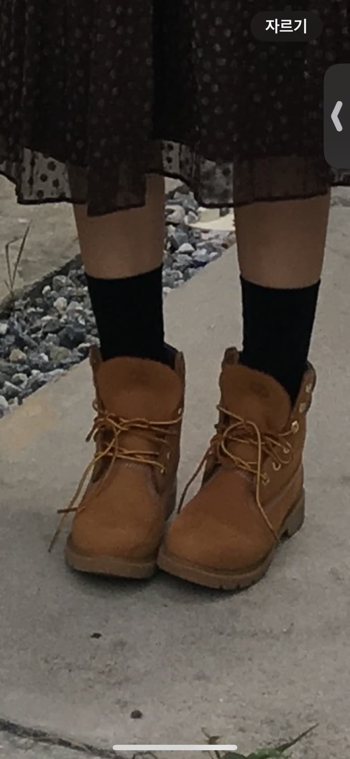 팀버랜드 여성 6인치 레이스업 부츠 _ TB1A161G2311 상품이미지3