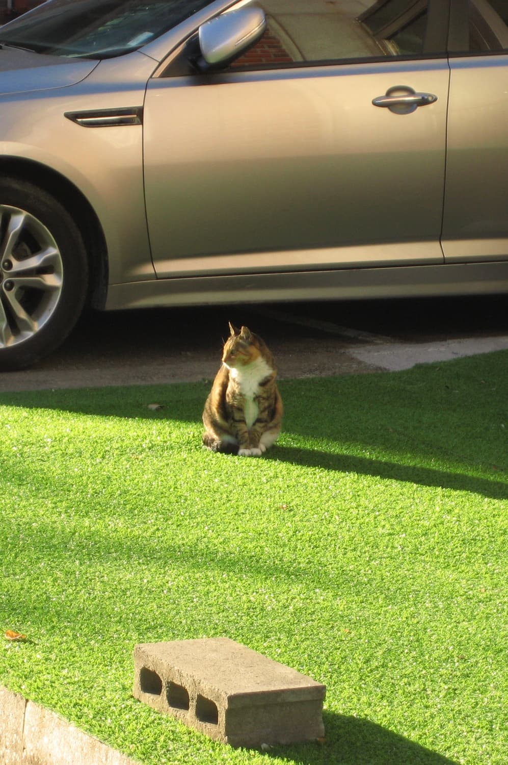 ixus 65 ixy 80 익서스 60 판매합니다! 상품이미지7