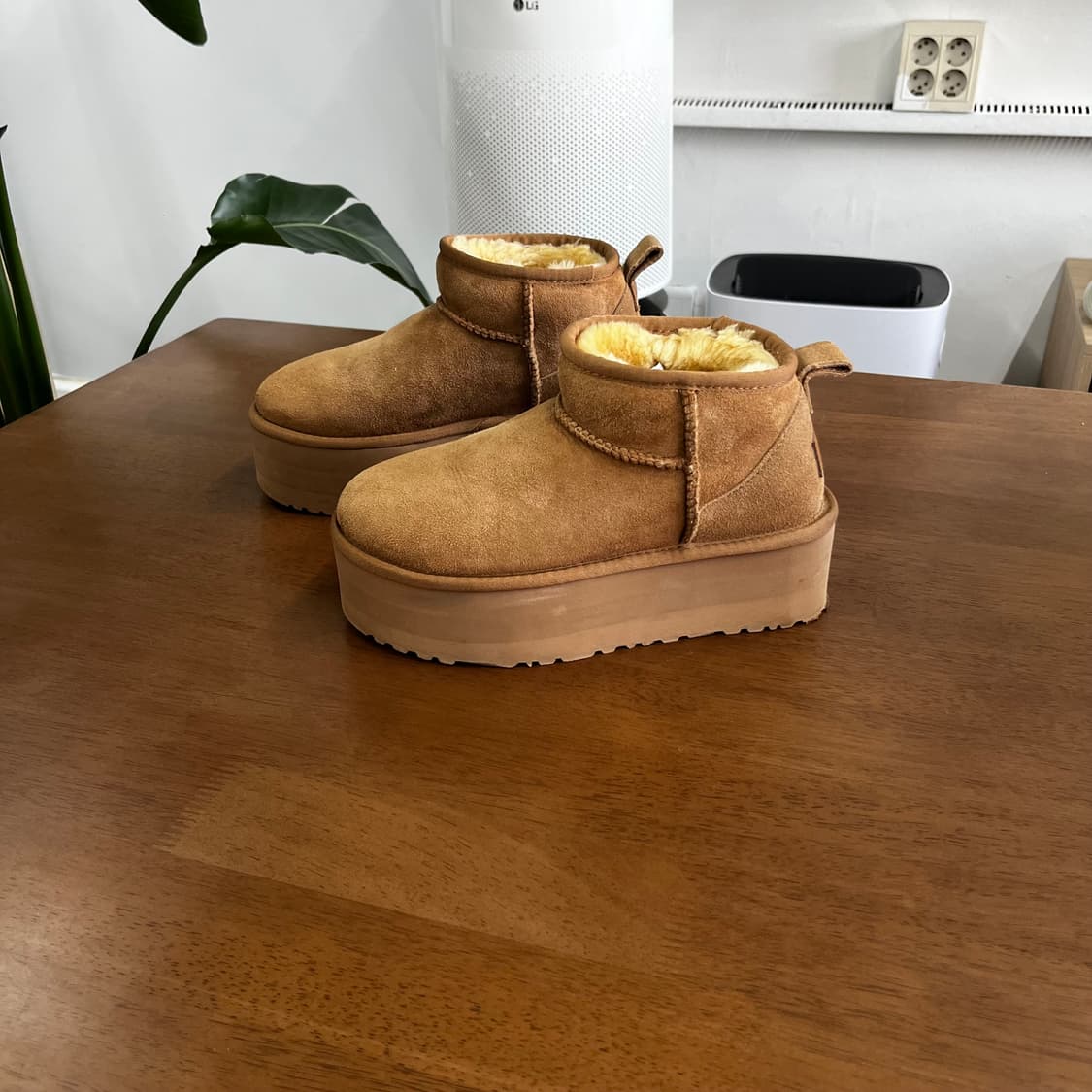 어그 클래식 울트라미니 플랫폼 36 상품이미지1