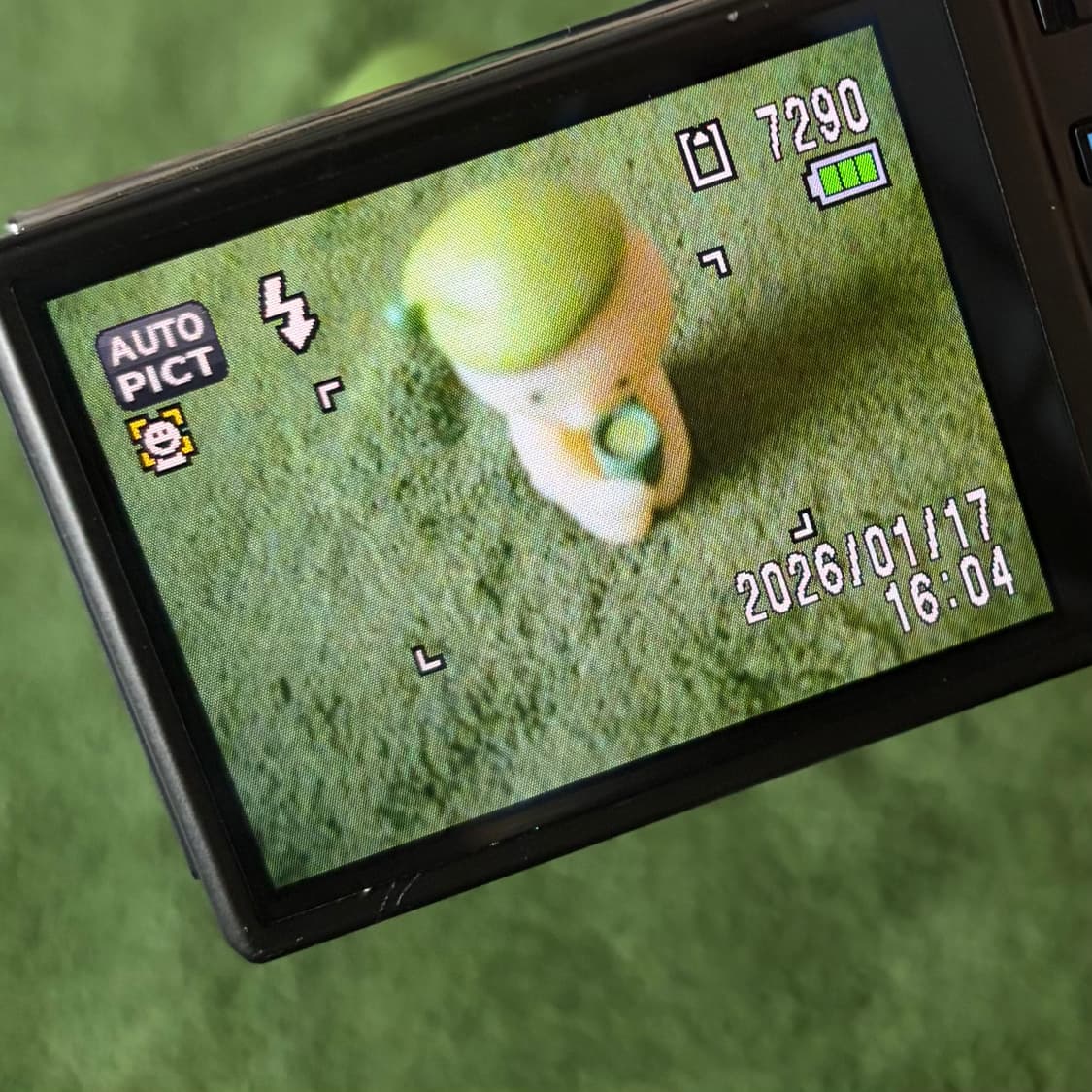 Pentax Optio V20 상품이미지3