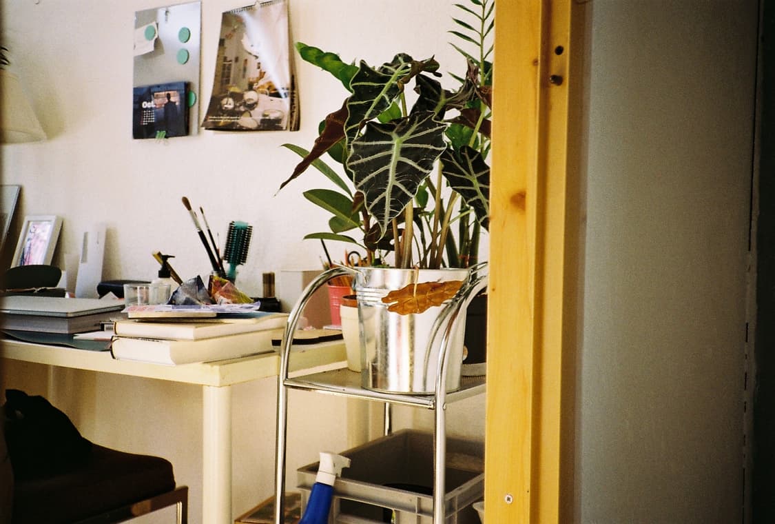 코니카 AF3 블랙 상품이미지8