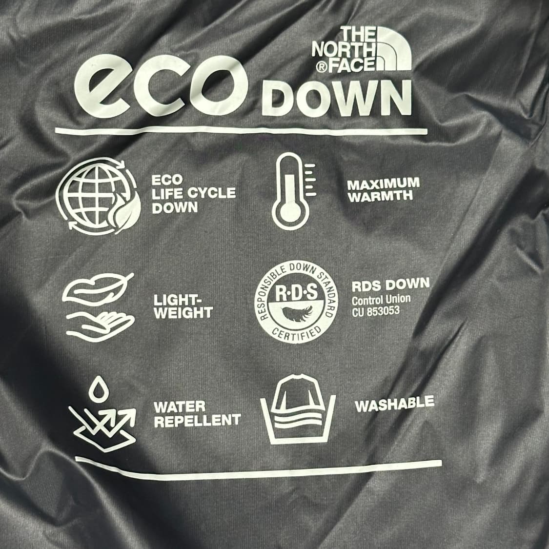 L 노스페이스 화이트라벨 네오 눕시 다운 패딩 상품이미지5