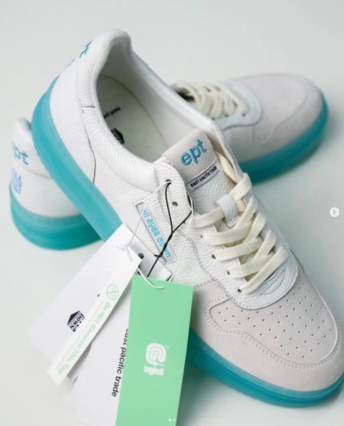 애글릿 ept 콜라보 와디 255 상품이미지2