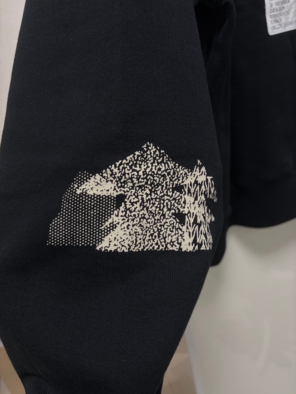 골드윈 알파인 코덱스 그룹 후드 상품이미지4