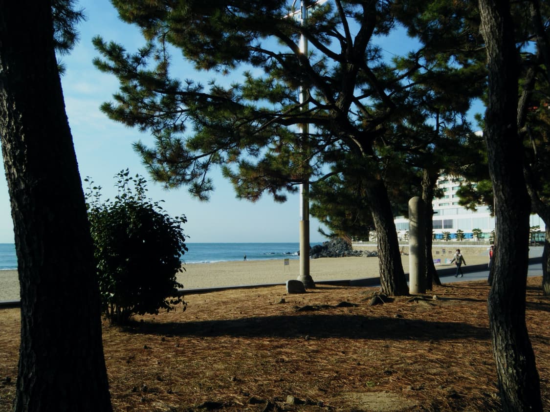 후지필름 파인픽스 z30 디카 (작례) 상품이미지7