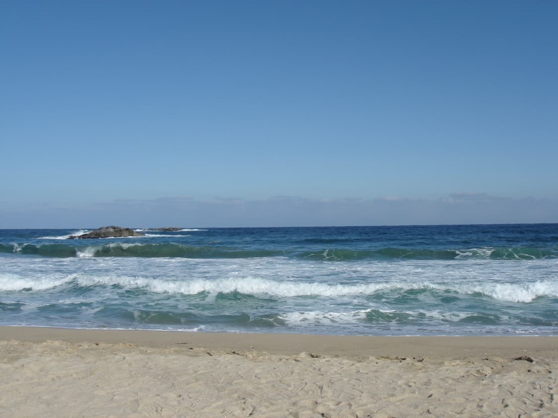 소니 사이버샷 DSC-T5 상품이미지7