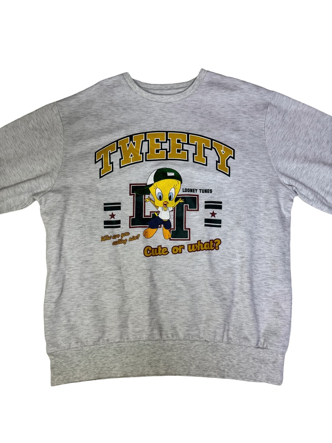 루니툰 트위티 Tweety 자수 디테일 그래픽 맨투맨 L 상품이미지2