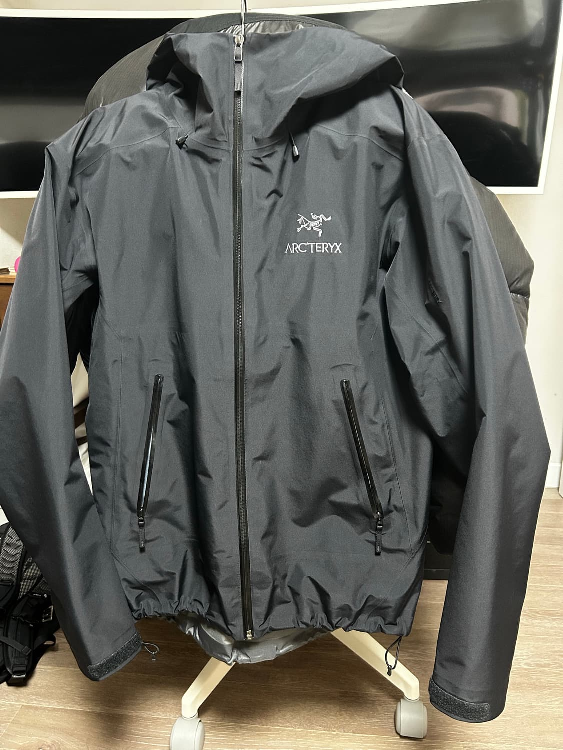 아크테릭스 베타 lt M 상품이미지1