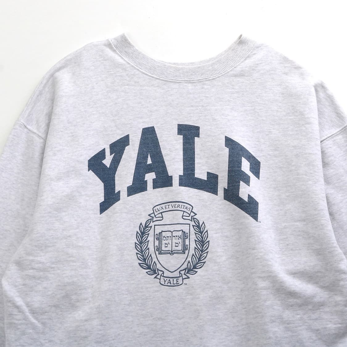 BEAMS x YALE 상품이미지2