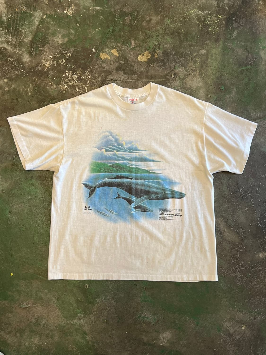 90's [XL] 빈티지 반팔티 고래 그래픽 싱글스티치 Tee Jays 상품이미지1