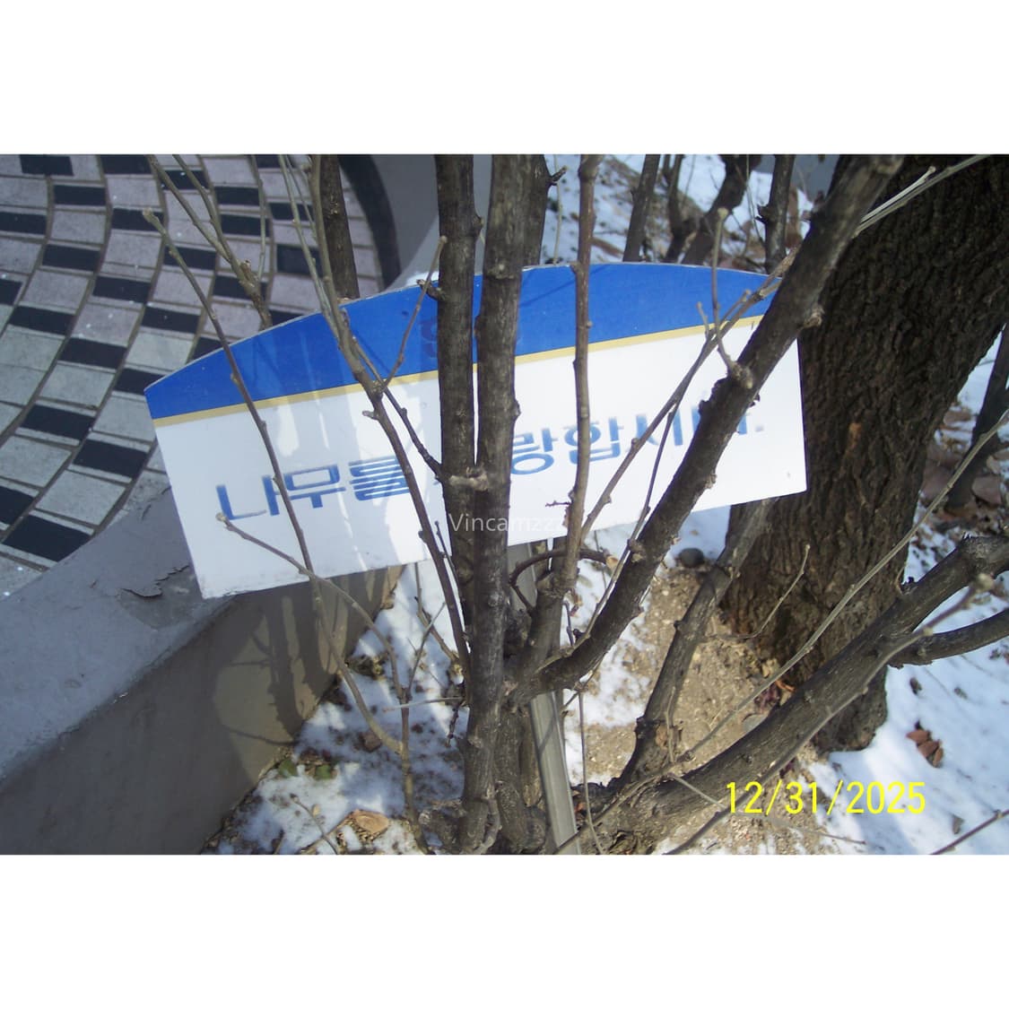 [강추] Kodak 코닥 easyshare 이지쉐어 DX4530 카메라 상품이미지5