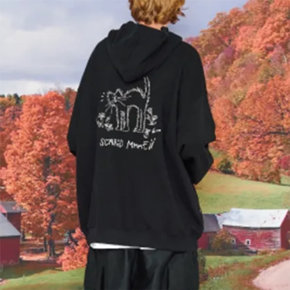 꼼파뇨 YOWL CAT 자수 후드티 새제품 L 상품이미지1