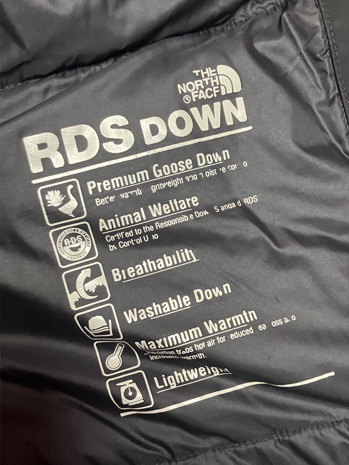 노스페이스 노페 폴라 에어 다운 자켓 숏 패딩 NJ1DM67A 상품이미지7