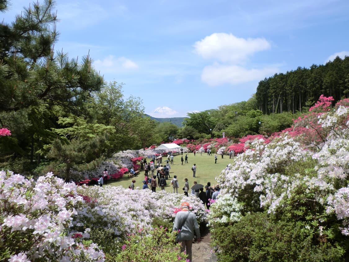 미품 핑크 빛 색감 카시오 엑슬림 ex-z800 작례o 상품이미지4