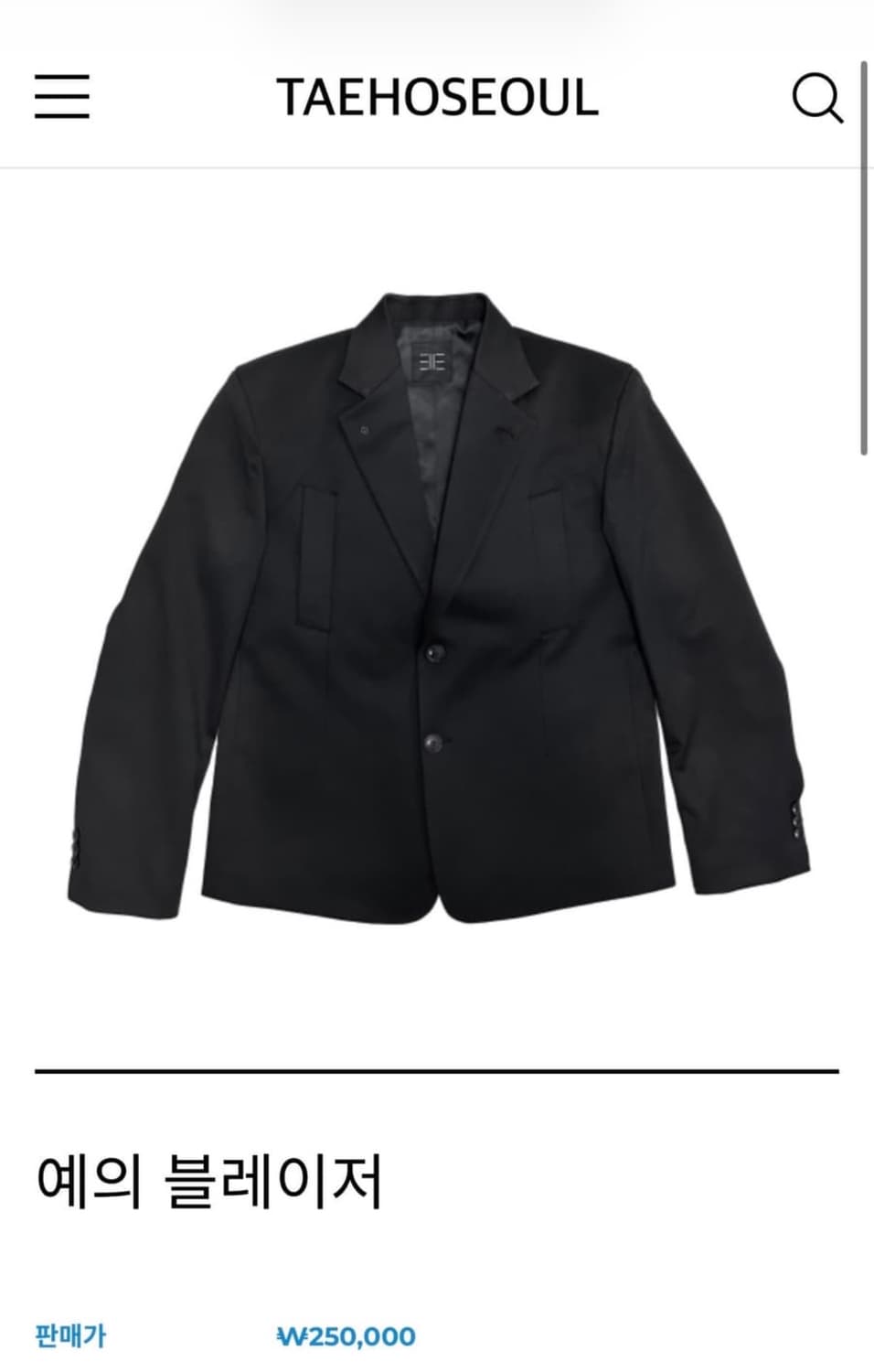 태호서울 블레이저 사이즈 L 팝니다 상품이미지1