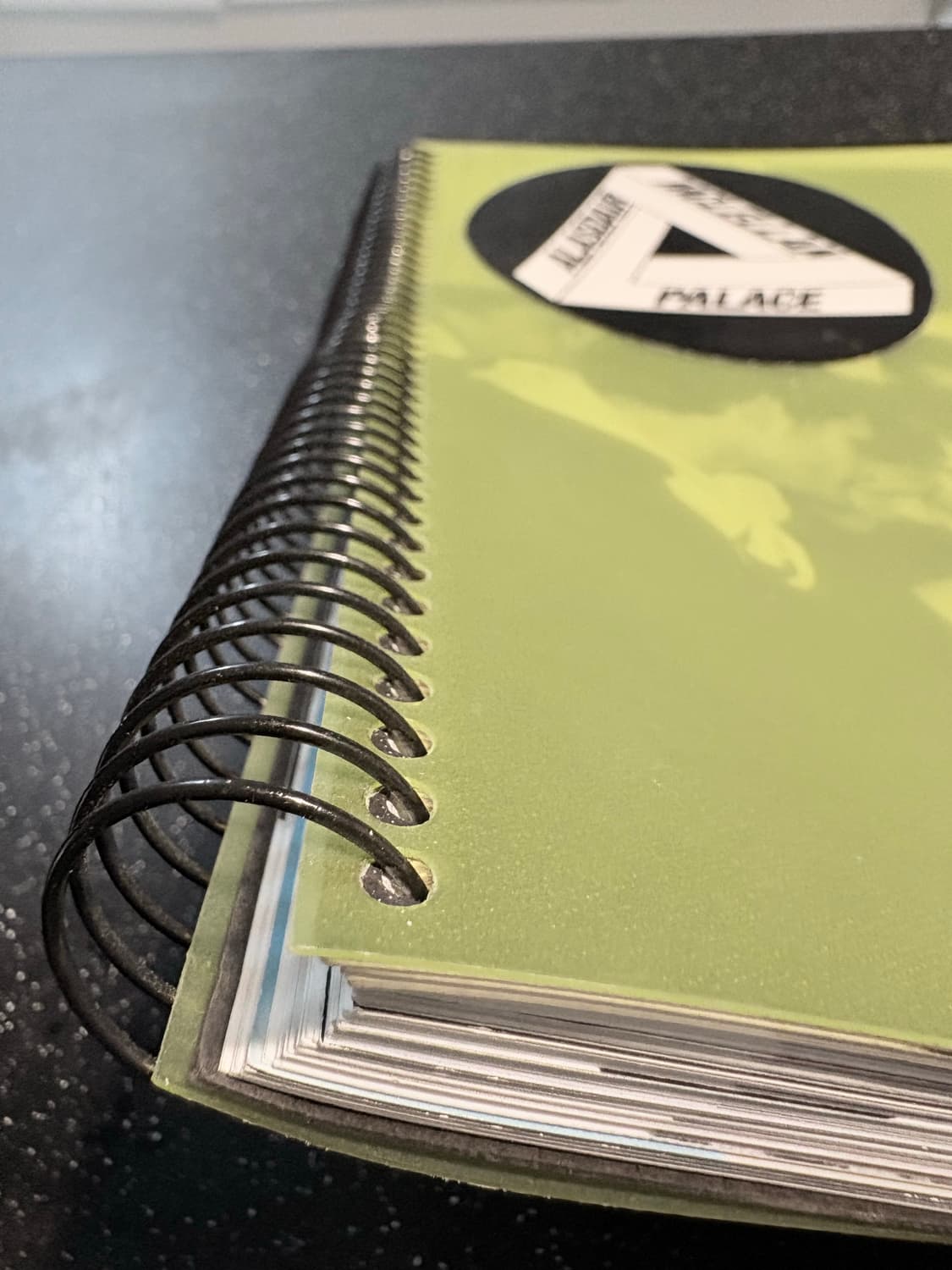 팔라스 아트북 사진집 상품이미지7