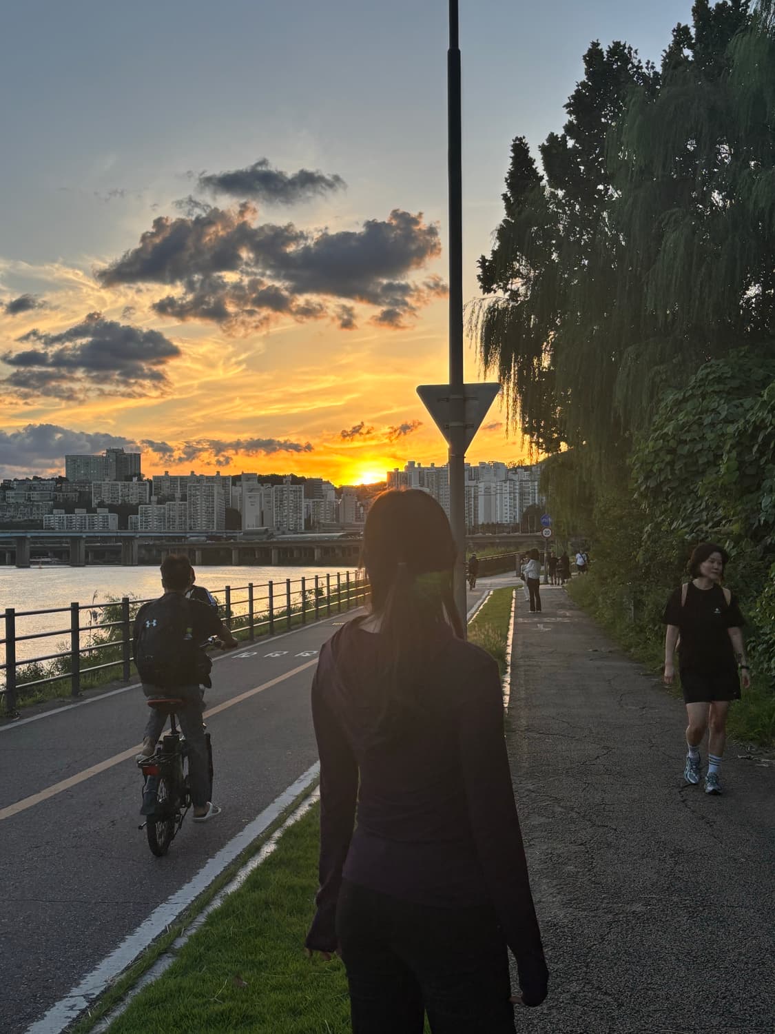 코이세이오 자주색 플럼 후드티 038 SLIM HOODIE LONG SL 상품이미지2