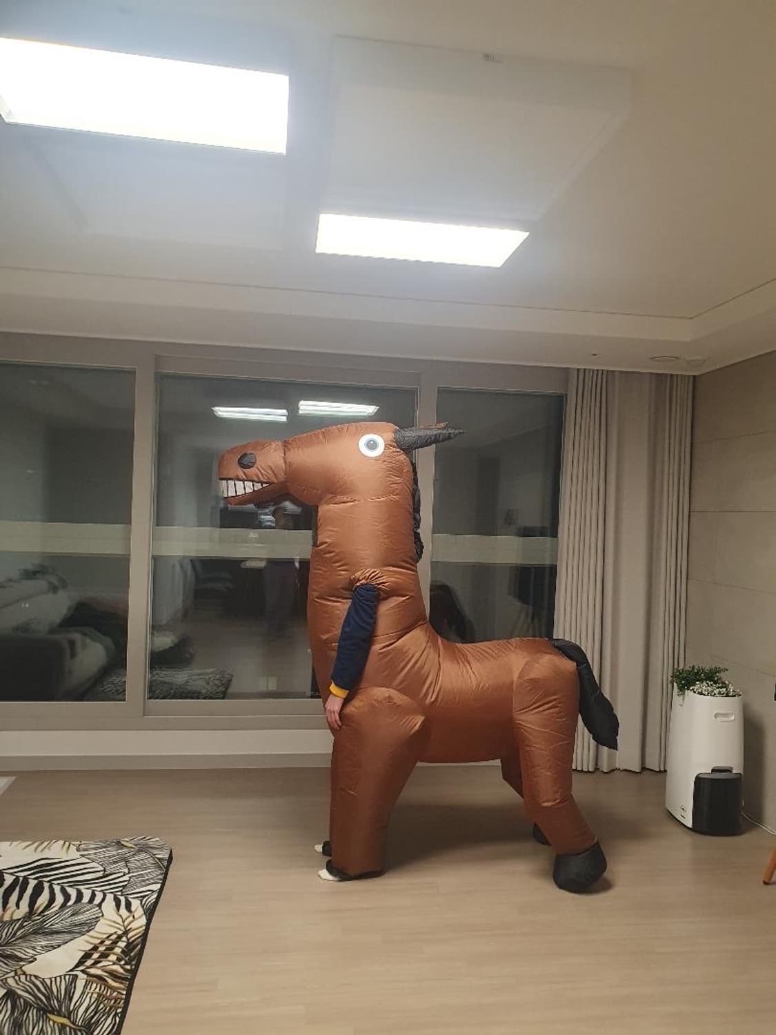 에어슈트 말 코스튬 상품이미지4