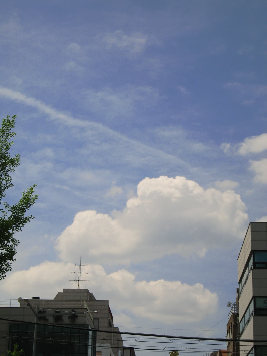 캐논 익서스 750 아일릿 원희 디카 상품이미지10