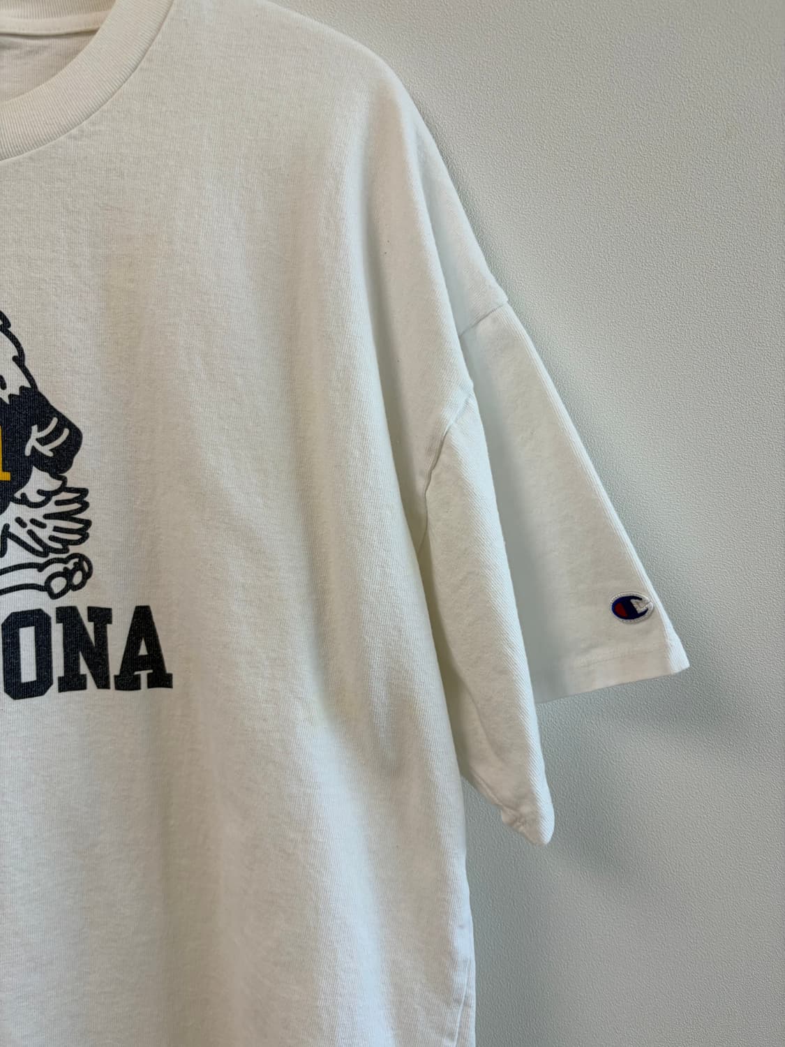 Champion 챔피온 그래픽 티셔츠 상품이미지3