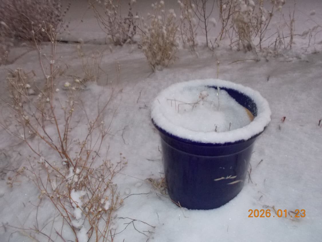 니콘 쿨픽스 S31 Nikon Coolpix 방수 디카 옐로우 상품이미지10