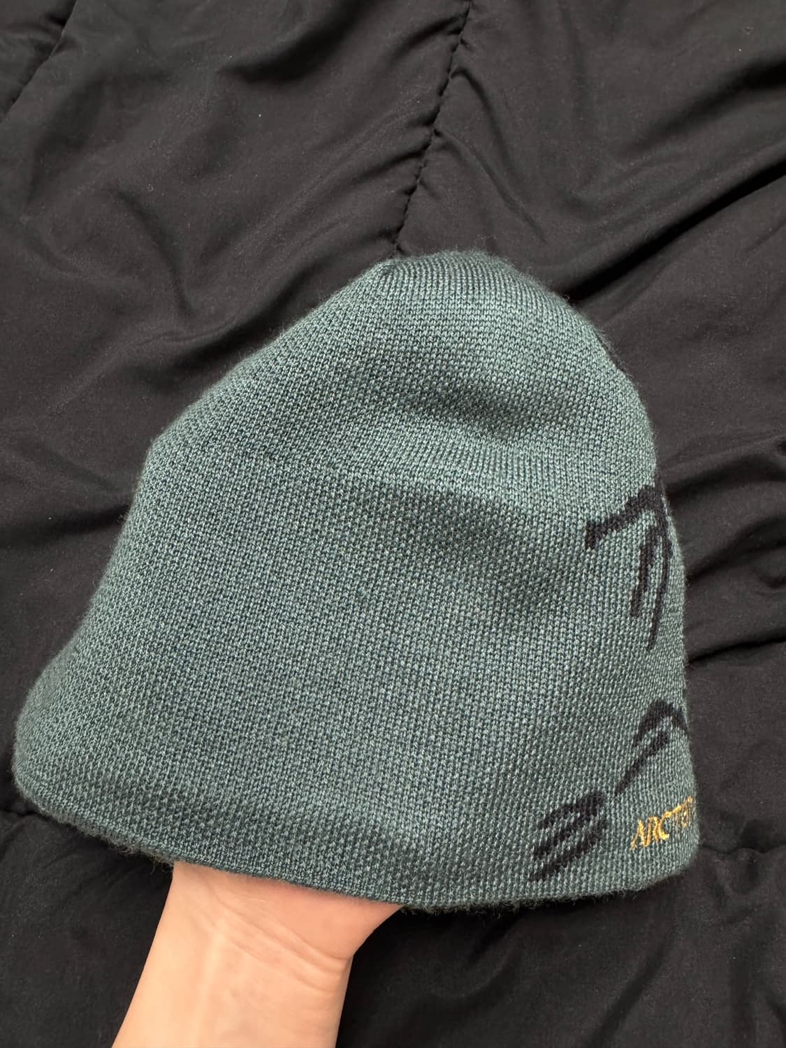 아크테릭스 버드 헤드 토크 다크 매직 상품이미지10