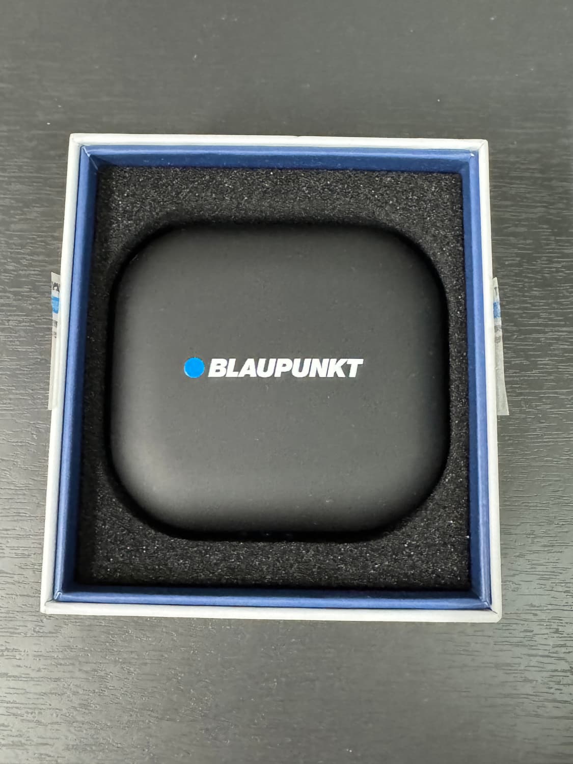 블라우풍트 이어폰 상품이미지2