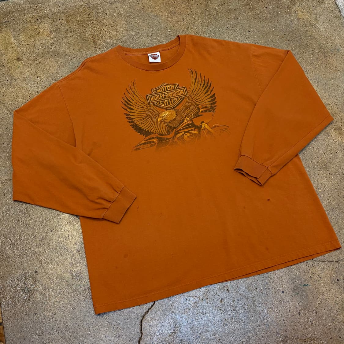 레어 10s 미국 빈티지 할리데이비슨 이글 롱슬리브 긴팔티 상품이미지2