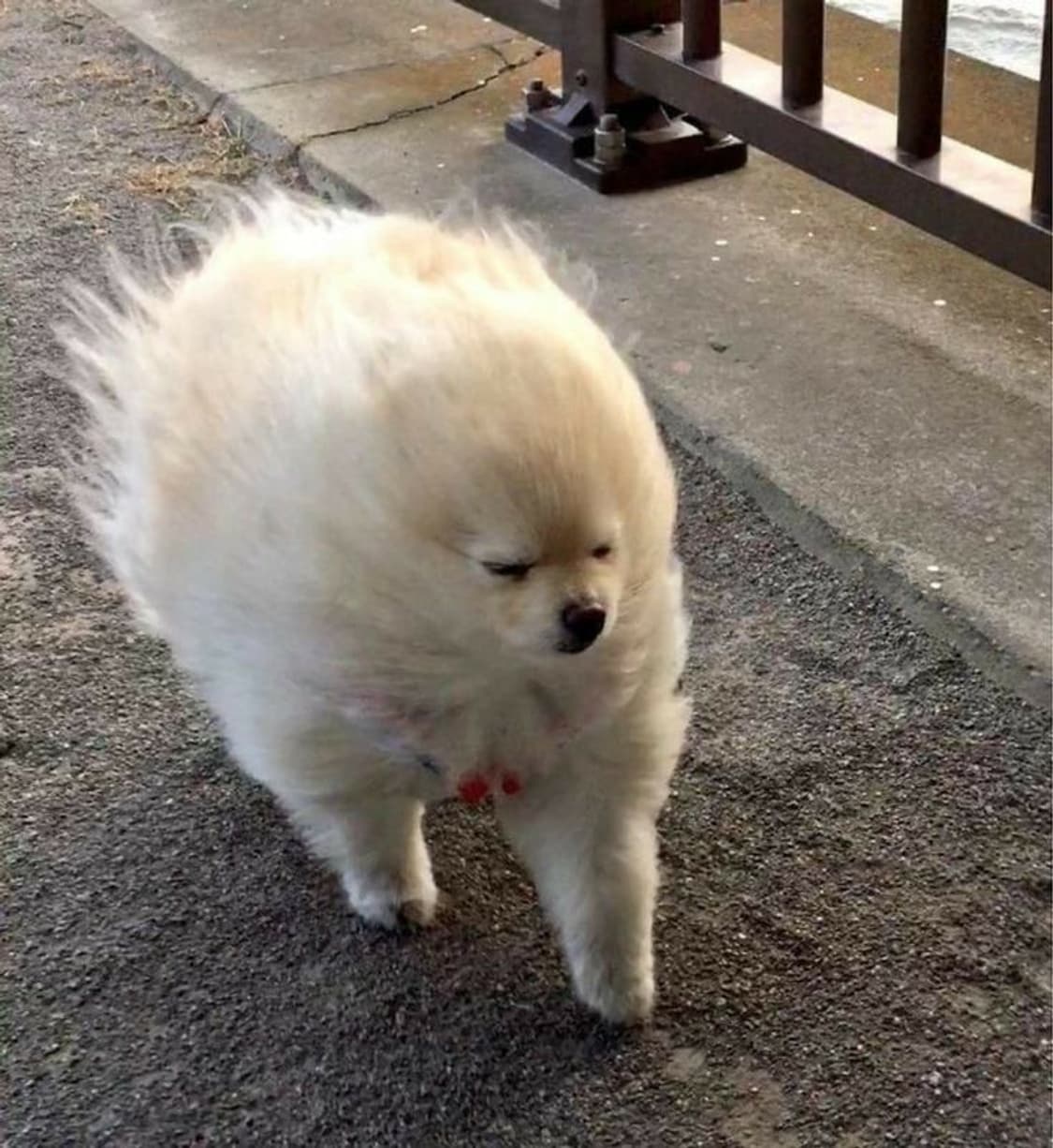 . 상품이미지1