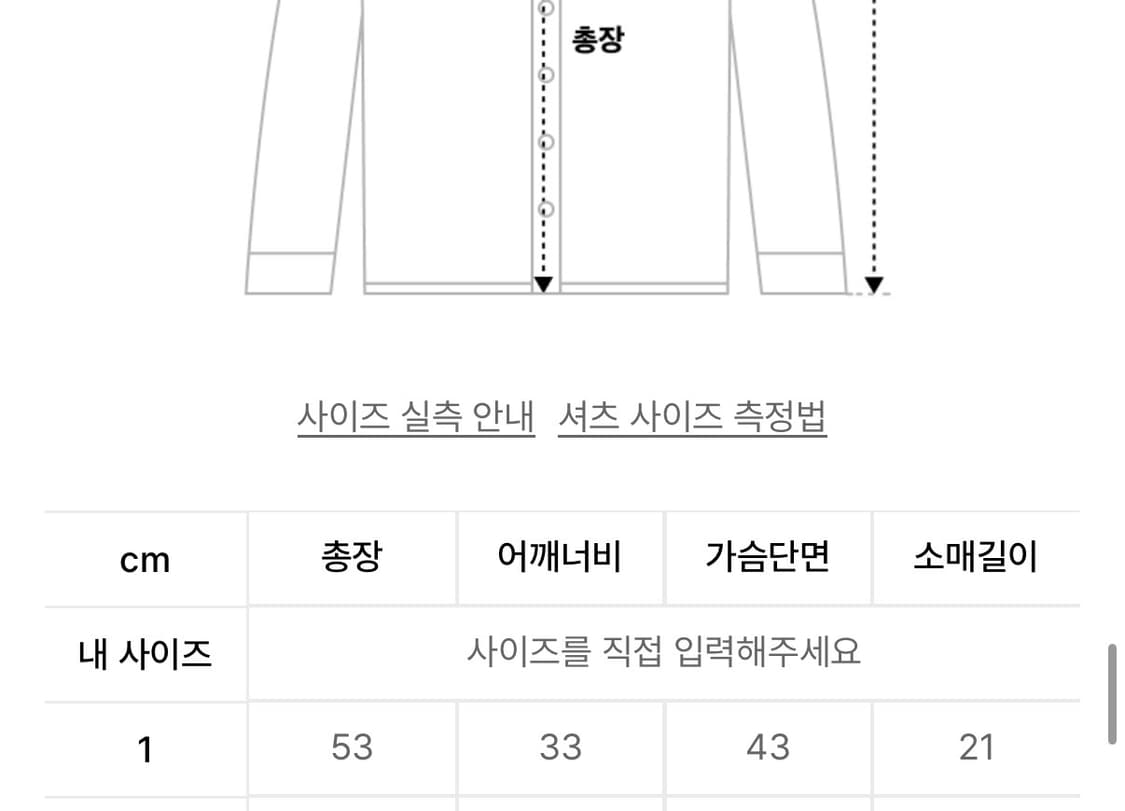 SHIRRING SHEER BLOUSE PISTACHIO 상품이미지4