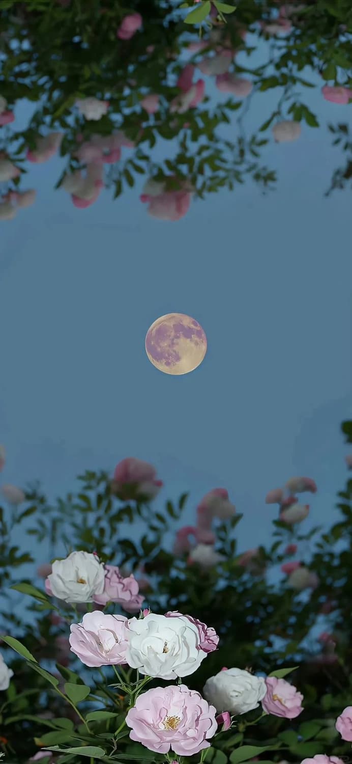 썬글라스 결제창 상품이미지1