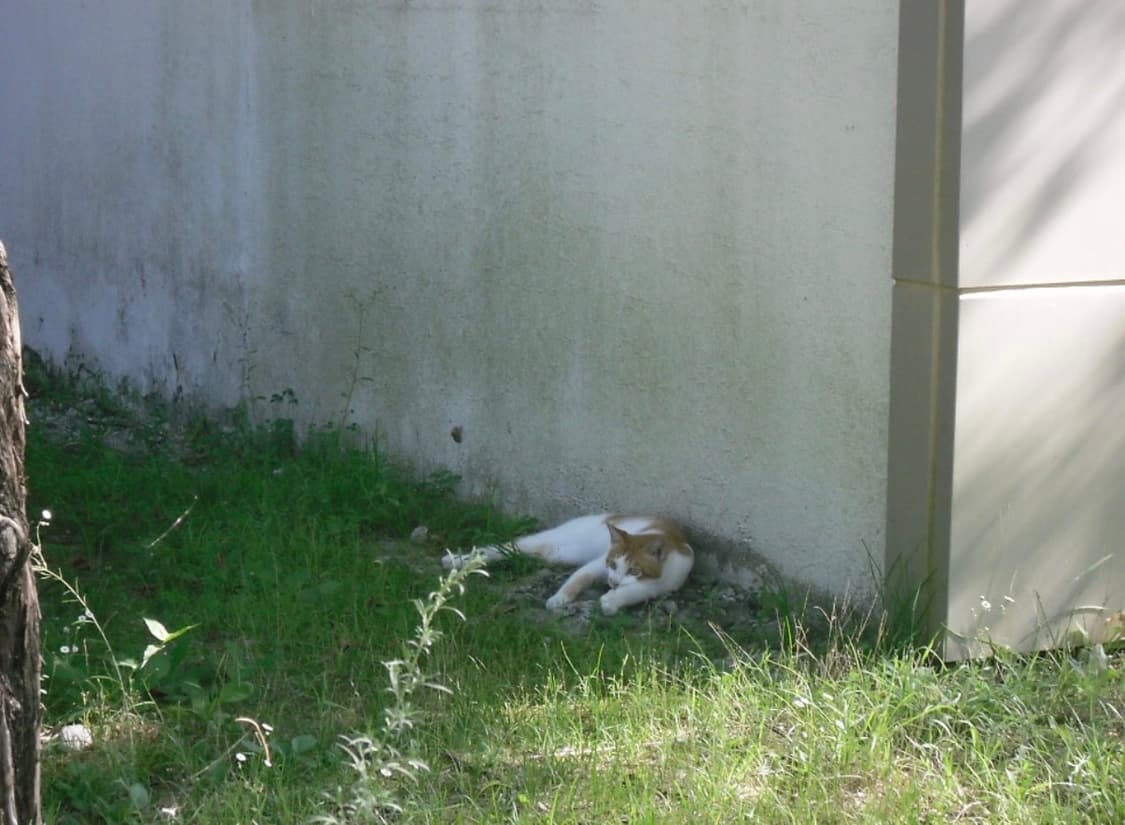 [작례O, 풀구성품] 삼성 Vluu st50 한효주 디카 카메라 상품이미지9