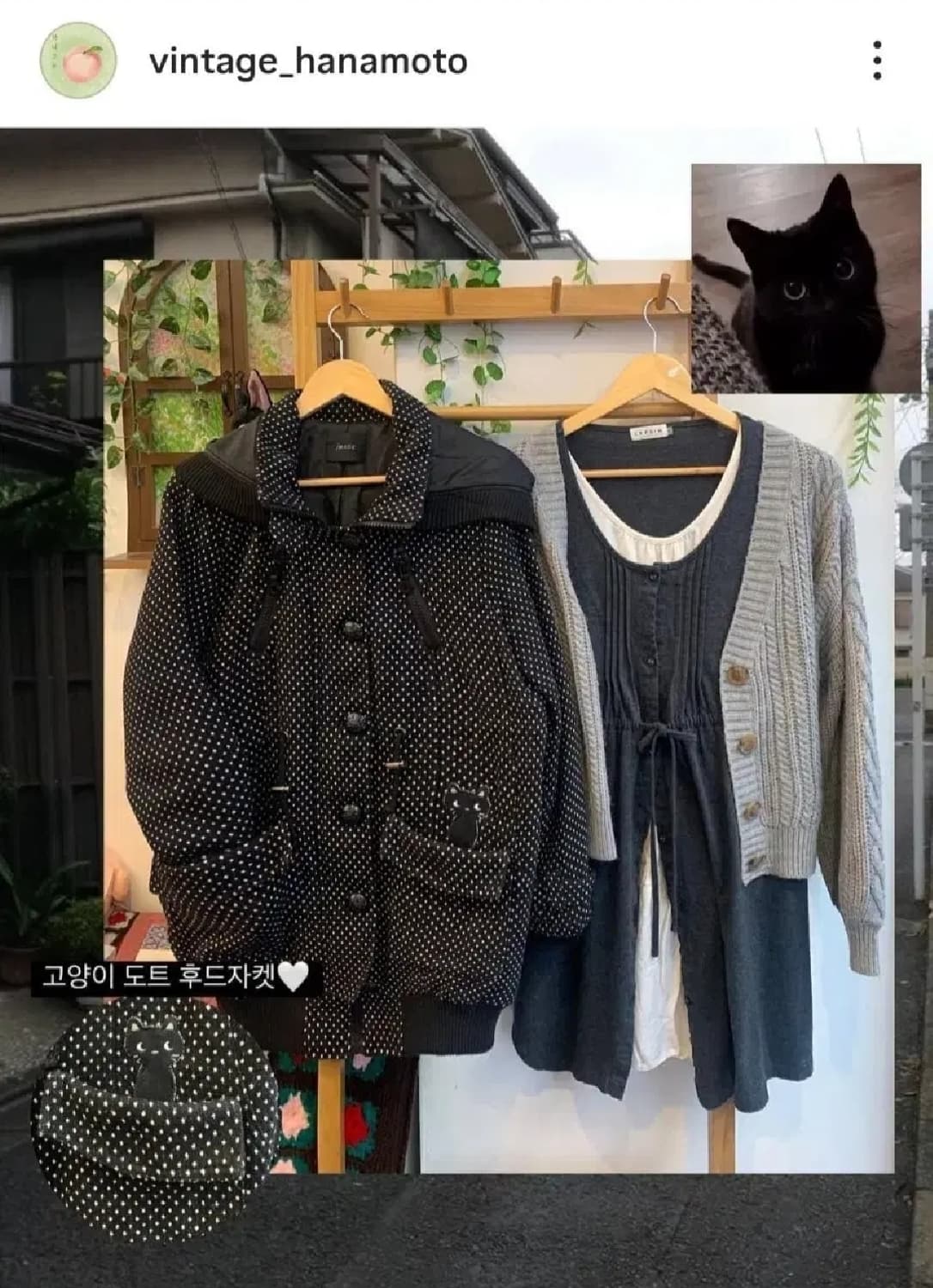 하나모토 빈티지 고양이 도트 모리걸 후드 자켓 상품이미지1