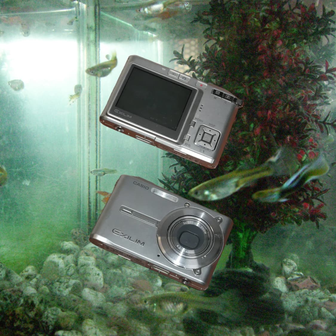 Casio EX-S600(✨A급/🎁풀패키지) 상품이미지1