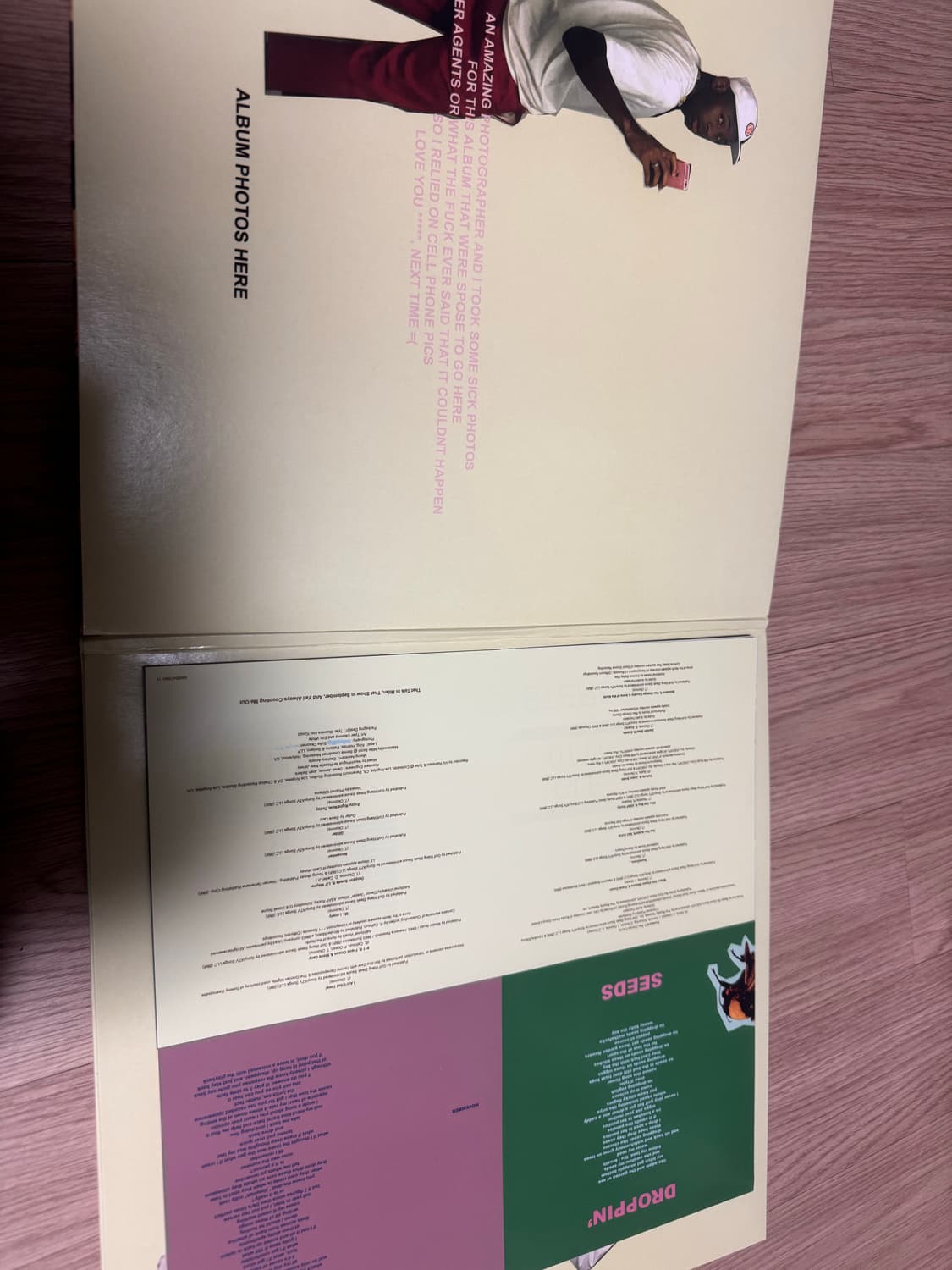 Tyler The Creator Flower Boy LP (개봉) 상품이미지3