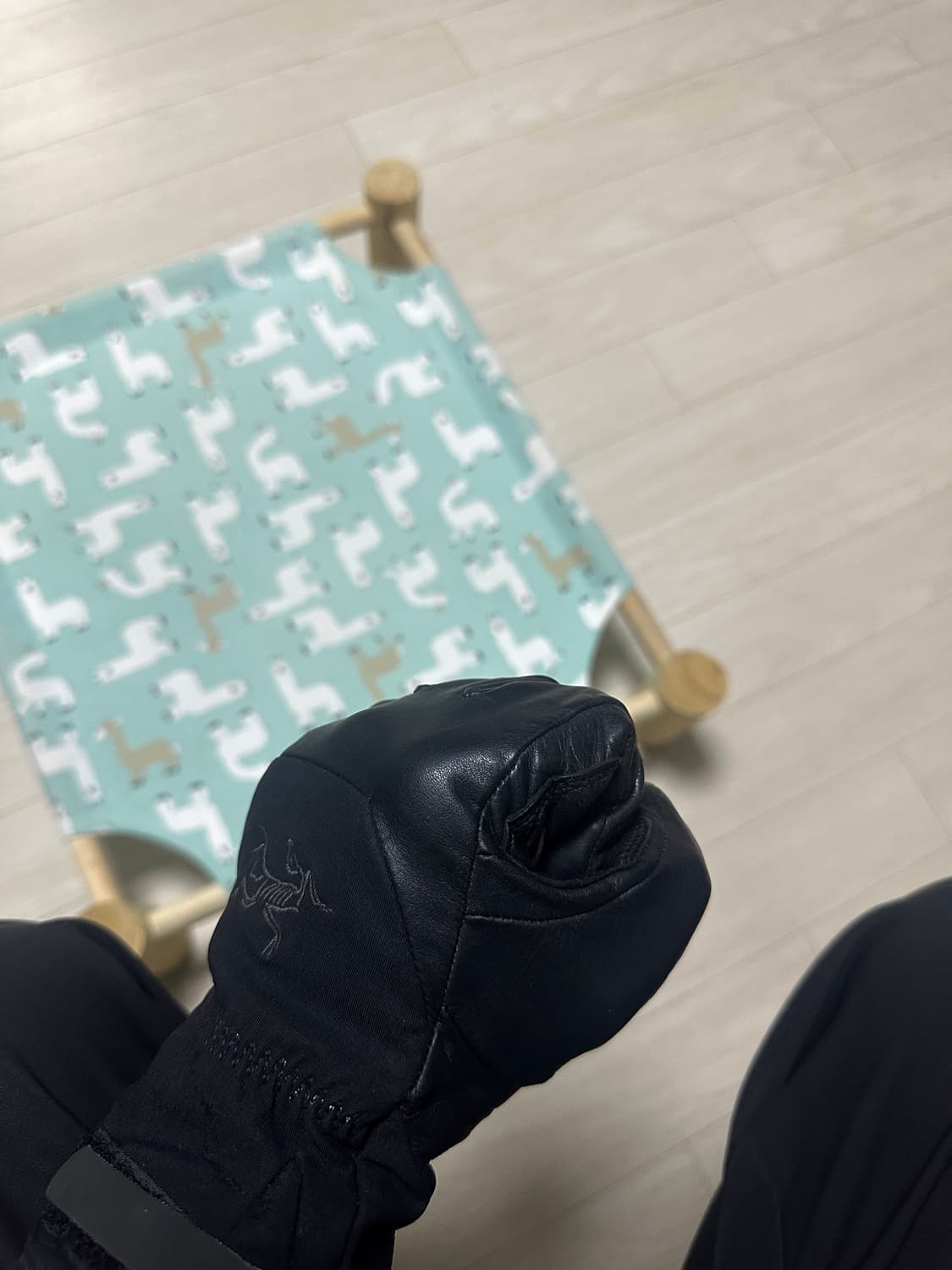 아크테릭스 스팅거 글러브 (L사이즈) 상품이미지5